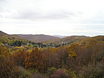 Nyugatra