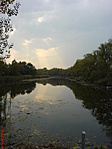 Tó részlet