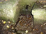 Közelről
