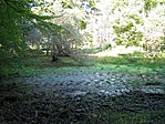 A tocsogó