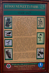 kisokos