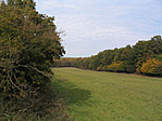tisztás