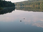 Reggeli fürdőzők