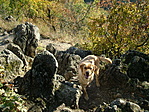 a barlang felett