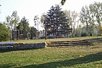 a "sziget"