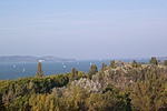 a tetőn