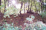 a rejtek