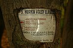 1. és 2. pont között