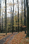 Zöld jelzésen