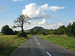 Odafele