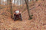 Traktor az erdőben