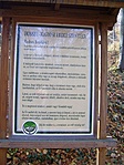 A kezdet