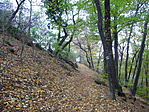 Úton
