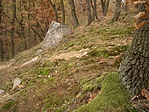 Rejtek