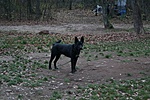 a kilátó őrzője