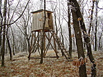 Vadászles