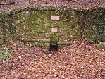 Forrás