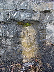 Szivárgó