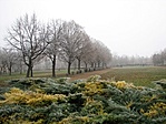 ebben a szép parkban remek helyek lennének egy csészének