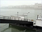 Ponton