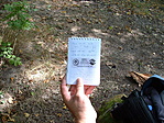 A log.