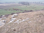 Közelebbről