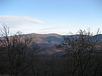 Vjú