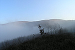 Ködhatár