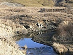 Patak