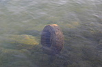 Atlantisz