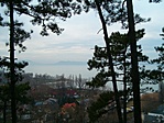 Panoráma
