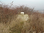 Csúcskő
