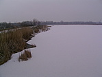 Téli kép
