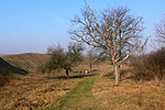 A sáncok védelmében