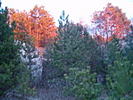 naplemente