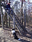 Kiskutya nagy gondban