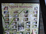 Madarászparadicsom