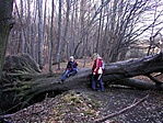 A Tűzköves-völgynél