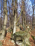 Napsütésben az 5. pont felé