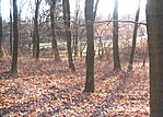 Láda felől