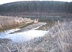 Szőrös sziget