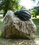 Bogárszobor