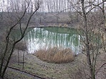 Tópart