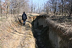Királyi úton