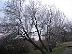 !!!! 2007.február 10. !!!!