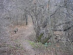 Ne menj tovább ha ezt látod, inkább térj le jobbra!