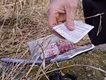 Geo csendélet