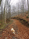 Emelkedőn