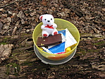 Cache