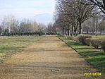 a park